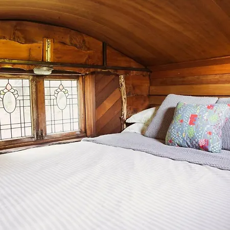 Alpacas Off Grid - House Truck Hotel Takaka Exterior photo