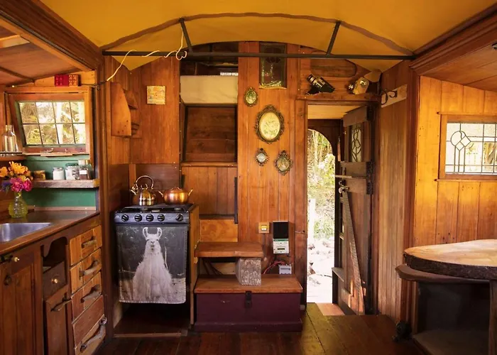 Alpacas Off Grid - House Truck