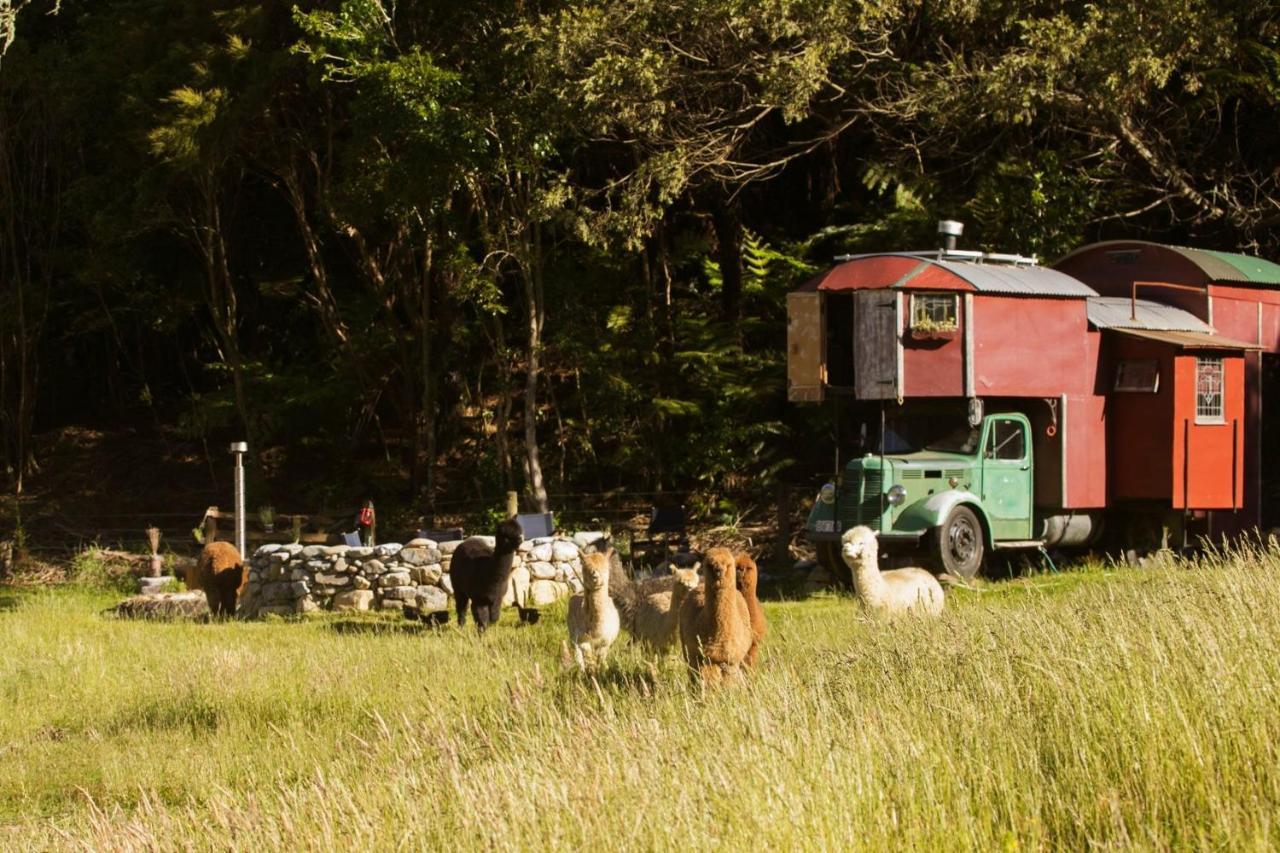 Alpacas Off Grid - House Truck