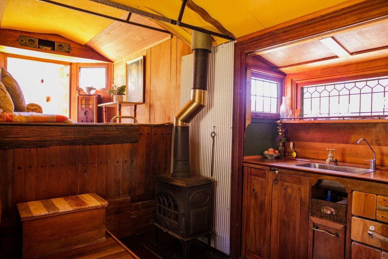 Campsite Alpacas Off Grid - House Truck Takaka