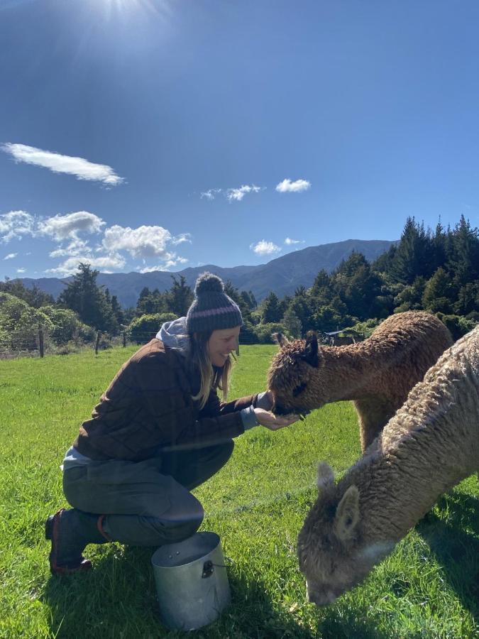 Alpacas Off Grid - House Truck