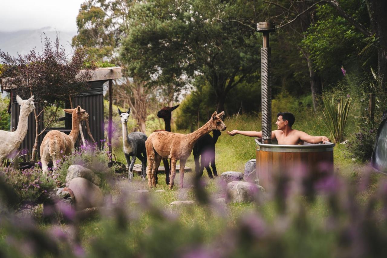Alpacas Off Grid - House Truck Takaka