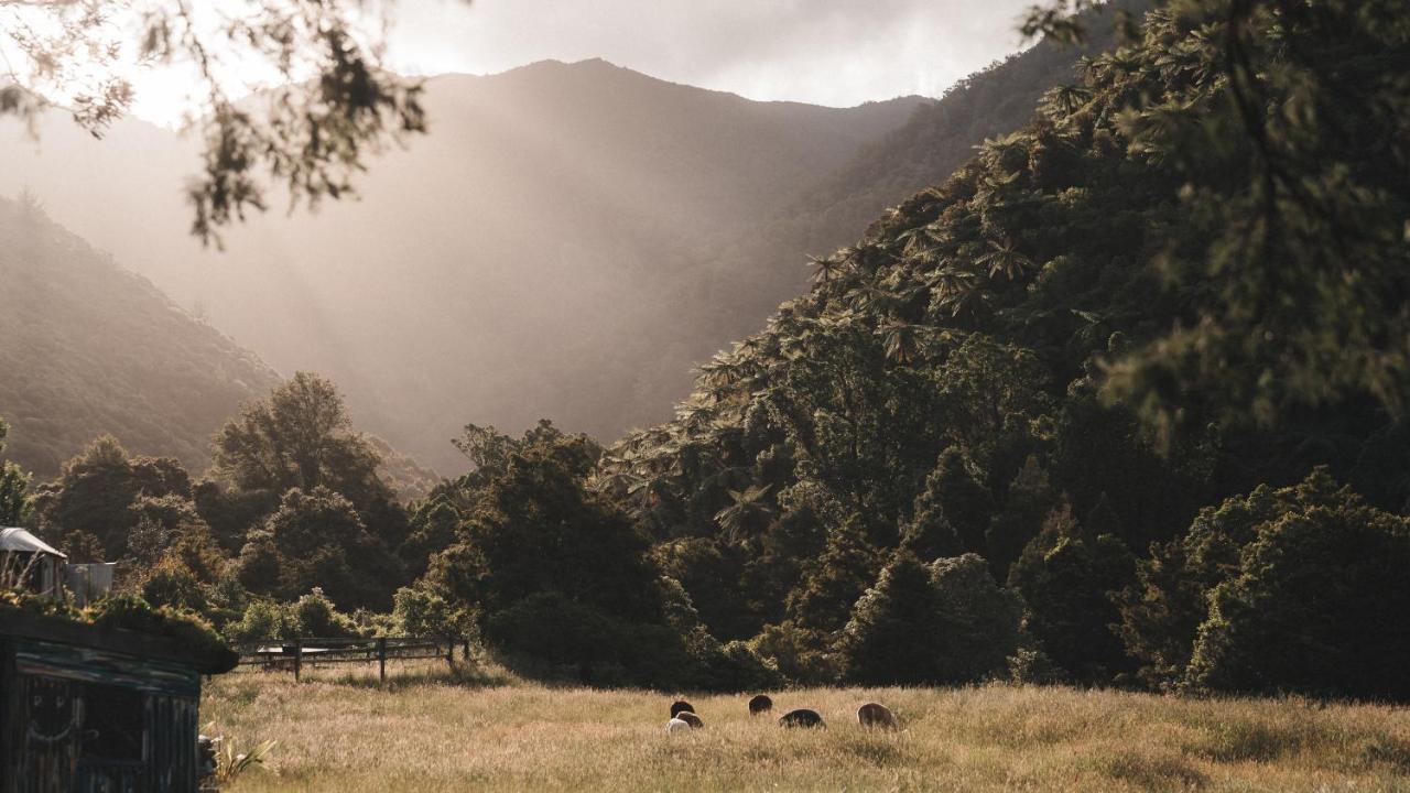 Campsite Alpacas Off Grid - House Truck *