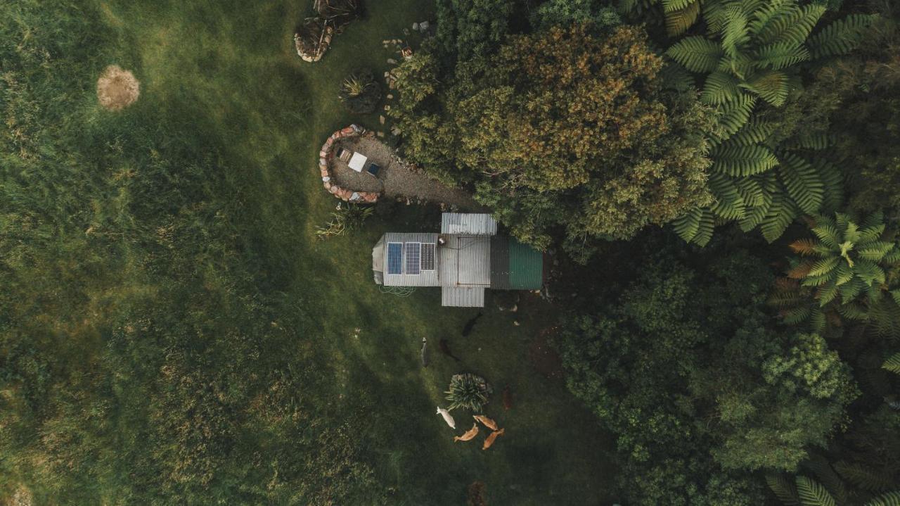 Campsite Alpacas Off Grid - House Truck Takaka
