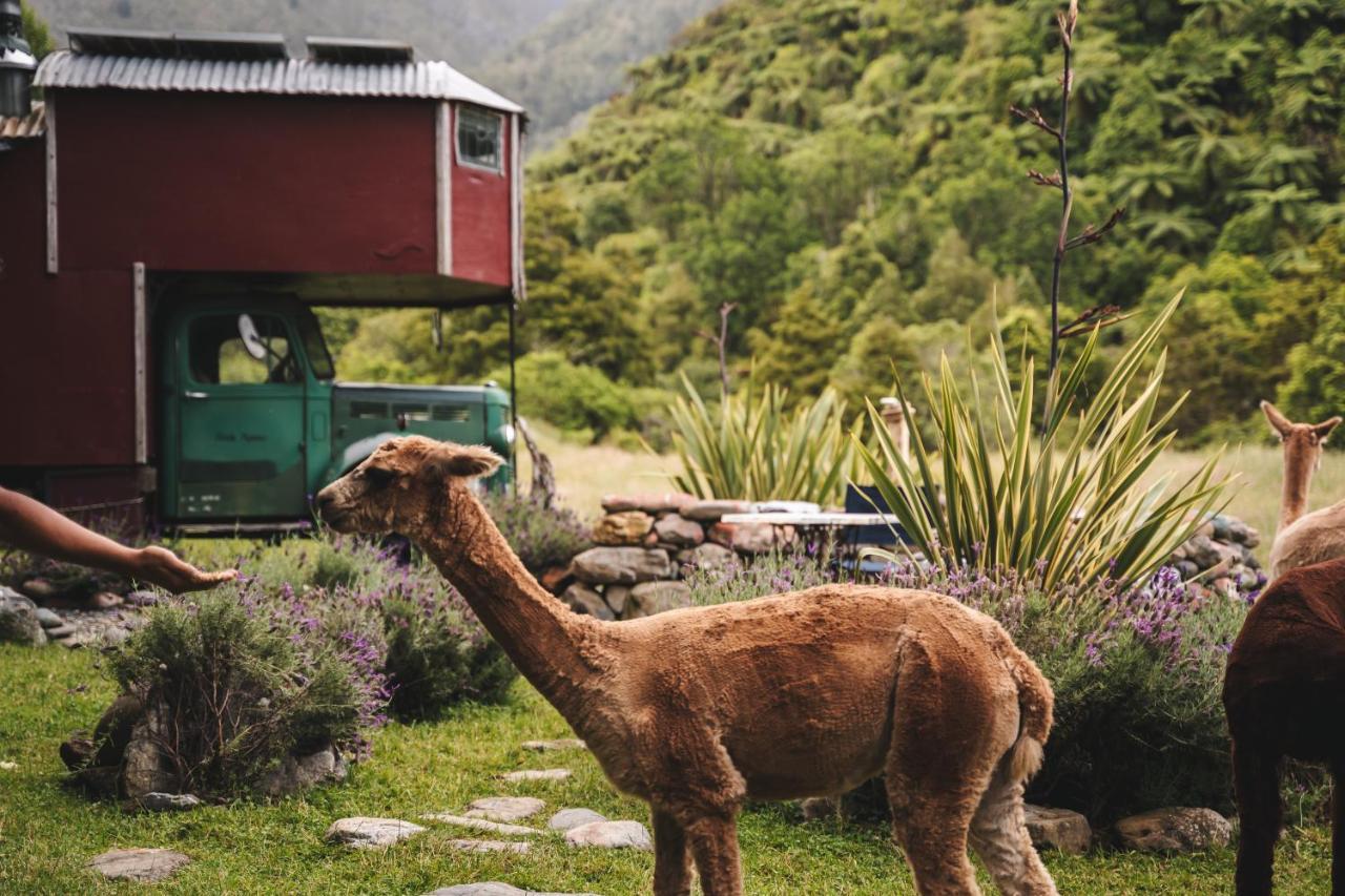 Alpacas Off Grid - House Truck Campsite *